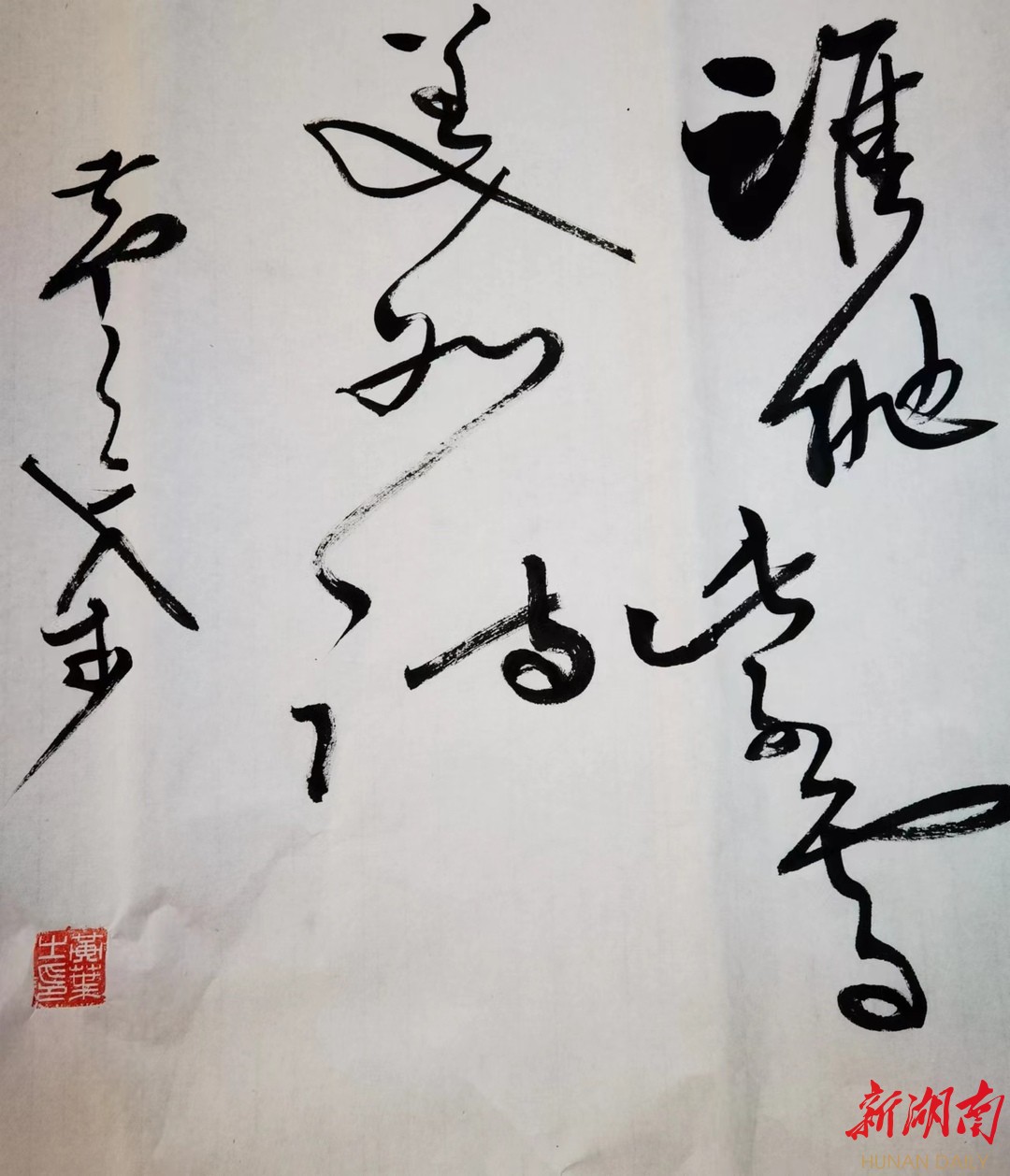 七绝｜黄叶：咏湘西紫藤花 - 湘西 - 新湖南