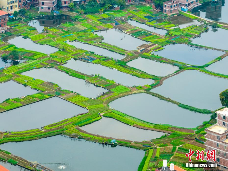 俯瞰广西梧州乡村美景 碧水方塘景美如画