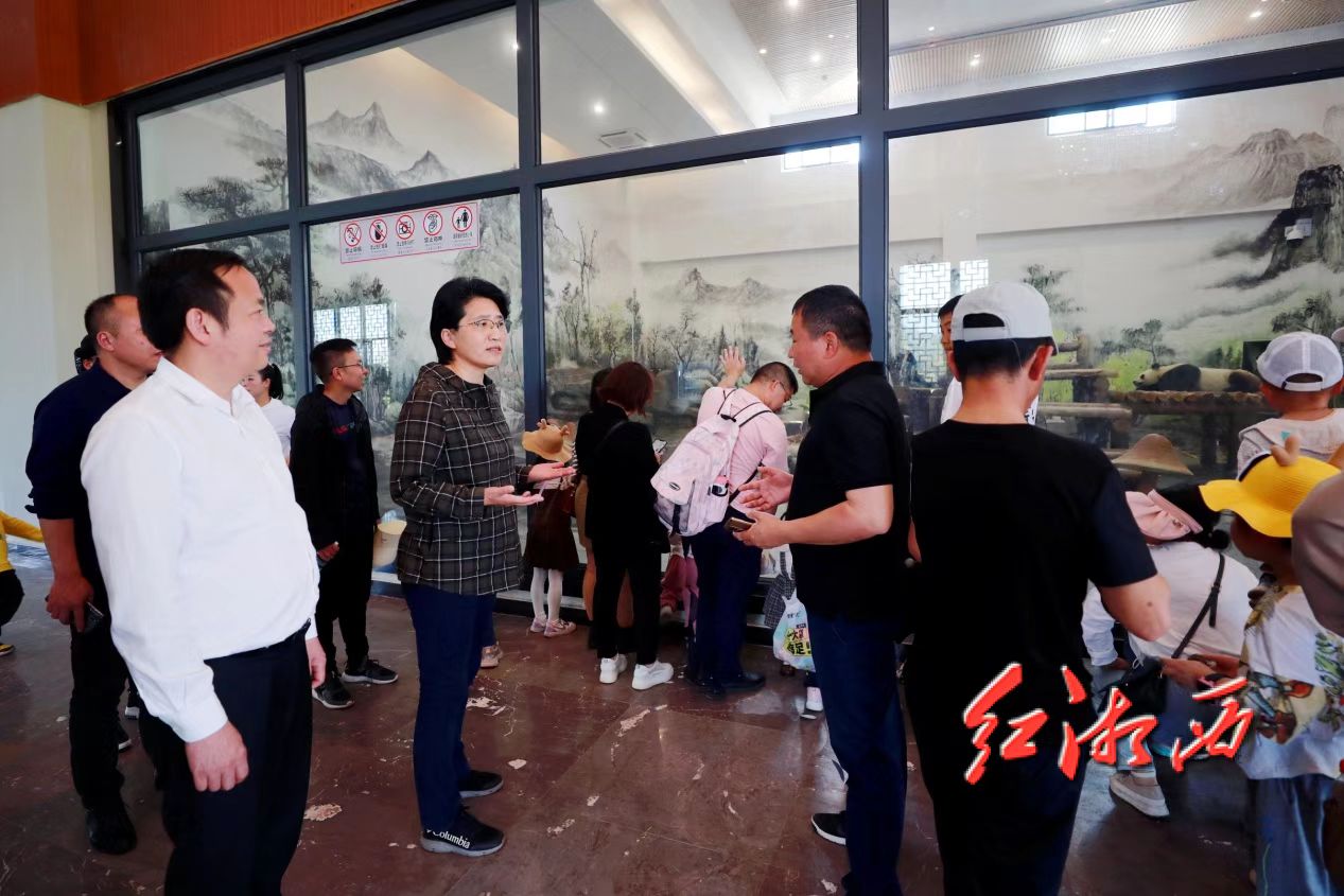 陈华到凤凰调研文旅产业并走访信访群众