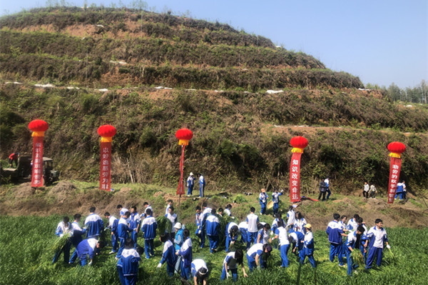 桃源郑家驿镇：研学基地释动能 乡村振兴添活力 乡村动态 乡村振兴 华声在线