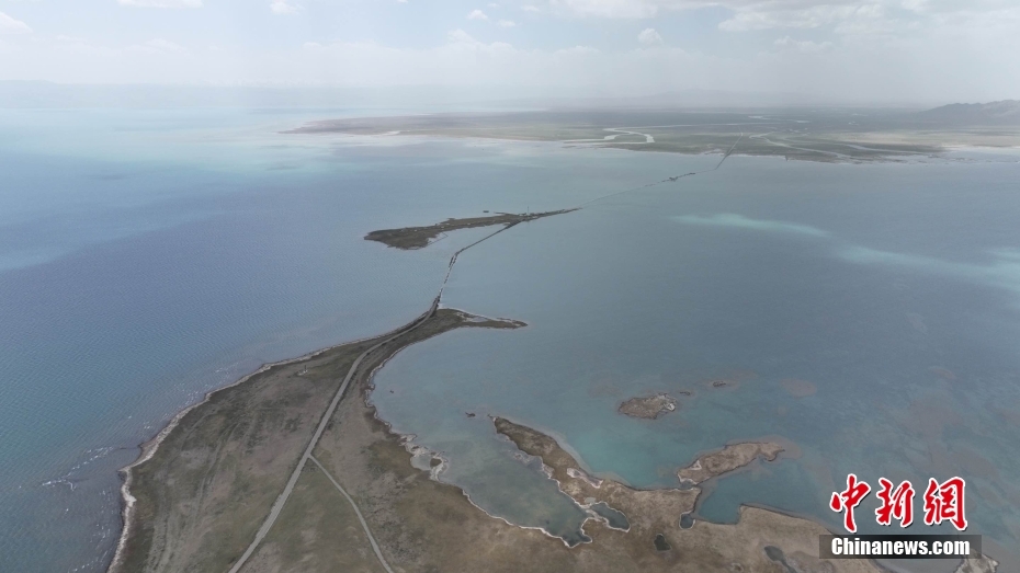 航拍初夏青海湖鸟岛国际重要湿地