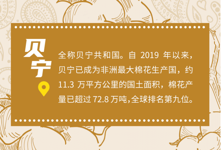【SVG海报】走进主宾国，让中非经贸往来的种子生根发芽