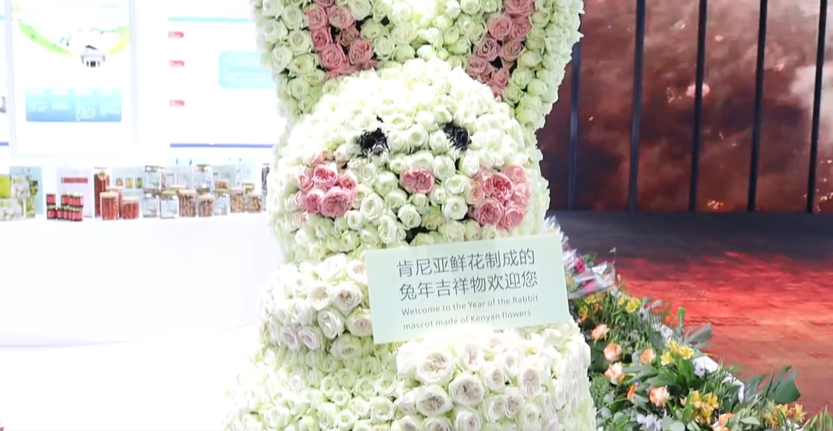 探展视频| 兔子？熊猫？肯尼亚鲜花扮靓博览会