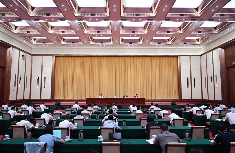 沈晓明：扎实抓好有效衔接工作和突出问题整改 着力提高全面推进乡村振兴的效力效能