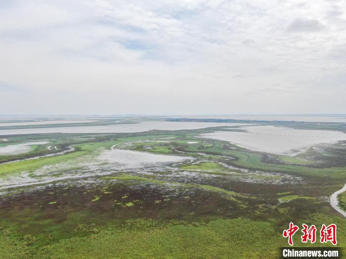 航拍江西鄱阳湖南矶湿地国家级自然保护区 水草丰茂风光秀美