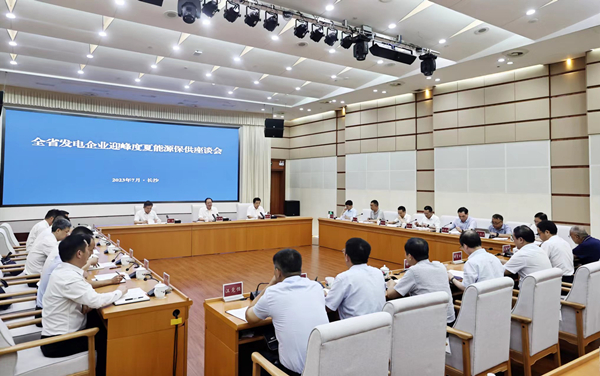 毛伟明与发电企业代表座谈：强化担当 满发稳发