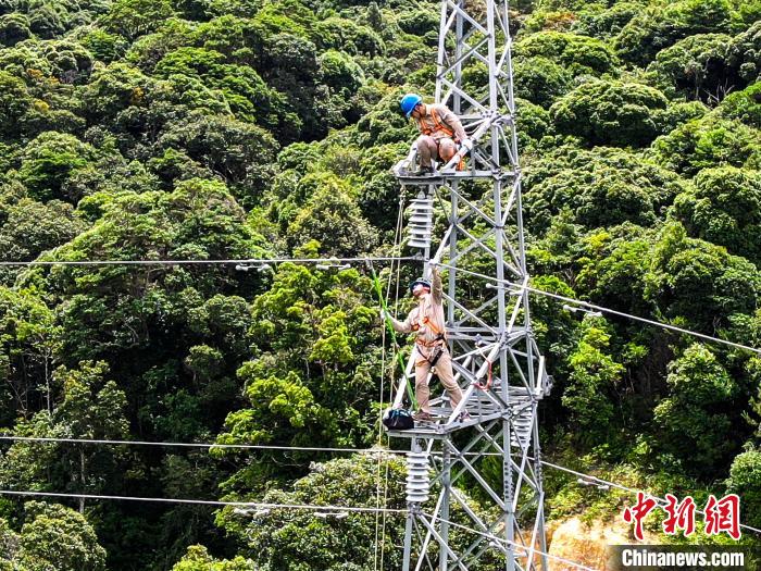 福建三明：高温下的电力巡检“医生”