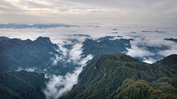 湖南两地入选“世界最佳自然保护地” 系八大公山和壶瓶山两个国家级自然保护区