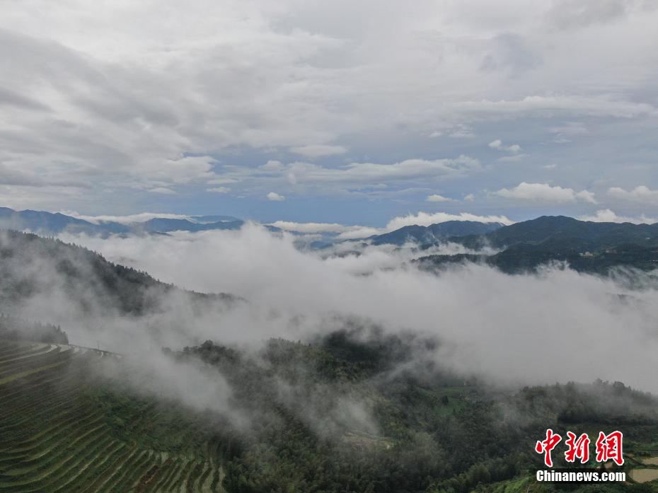 航拍江西遂川桃源梯田雨后云霧繚繞 美若水墨畫卷