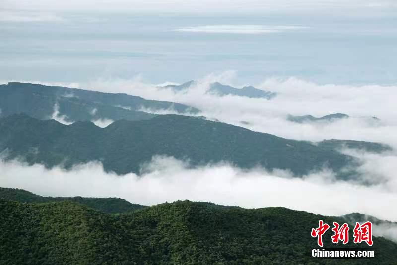 探尋人祖山原始森林謐境 看世外桃源美麗星空