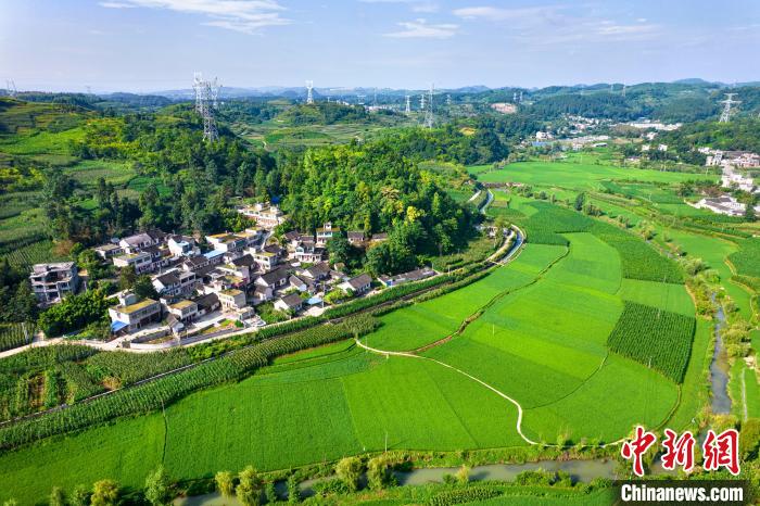 贵州黔西：夏日田园 绿意盎然