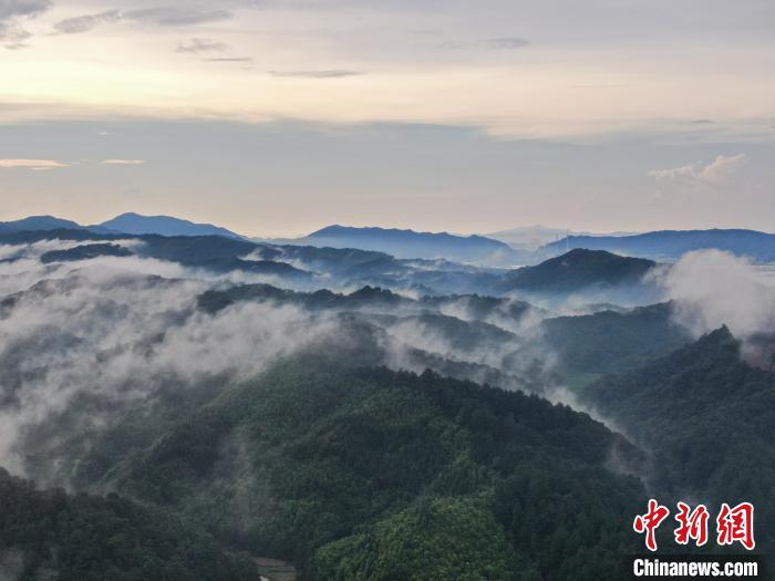 航拍江西新余雨后壯美山鄉(xiāng) 云霧繚繞重巒疊嶂宛若水墨畫卷