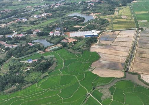 守住粮食生产“命根子”——湖南高质量发展怎么看怎么干之九