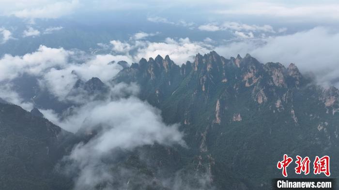 河南南陽(yáng)：老界嶺現(xiàn)夏日云海景觀