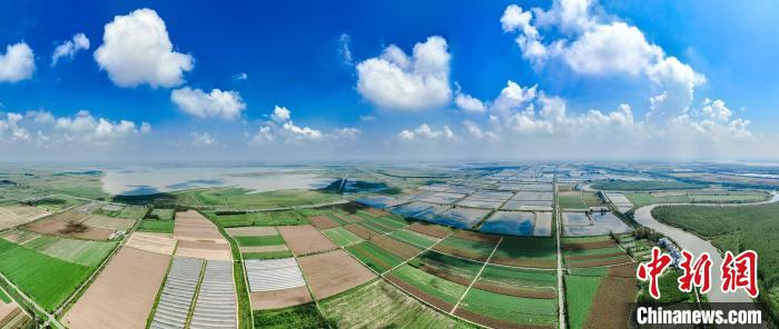 航拍武汉沉湖国际重要湿地：水天一色 郁郁葱葱