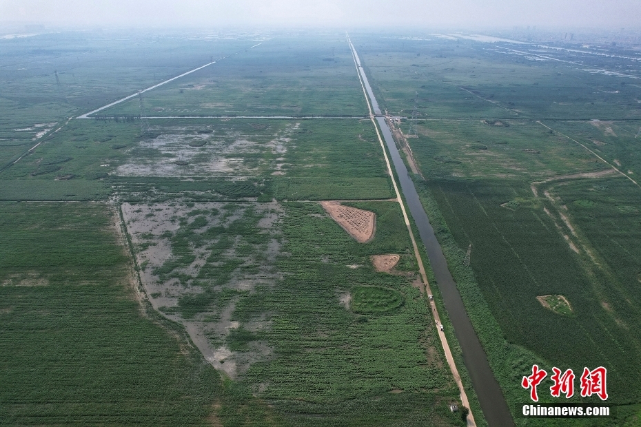 大清河洪水抵達(dá)天津