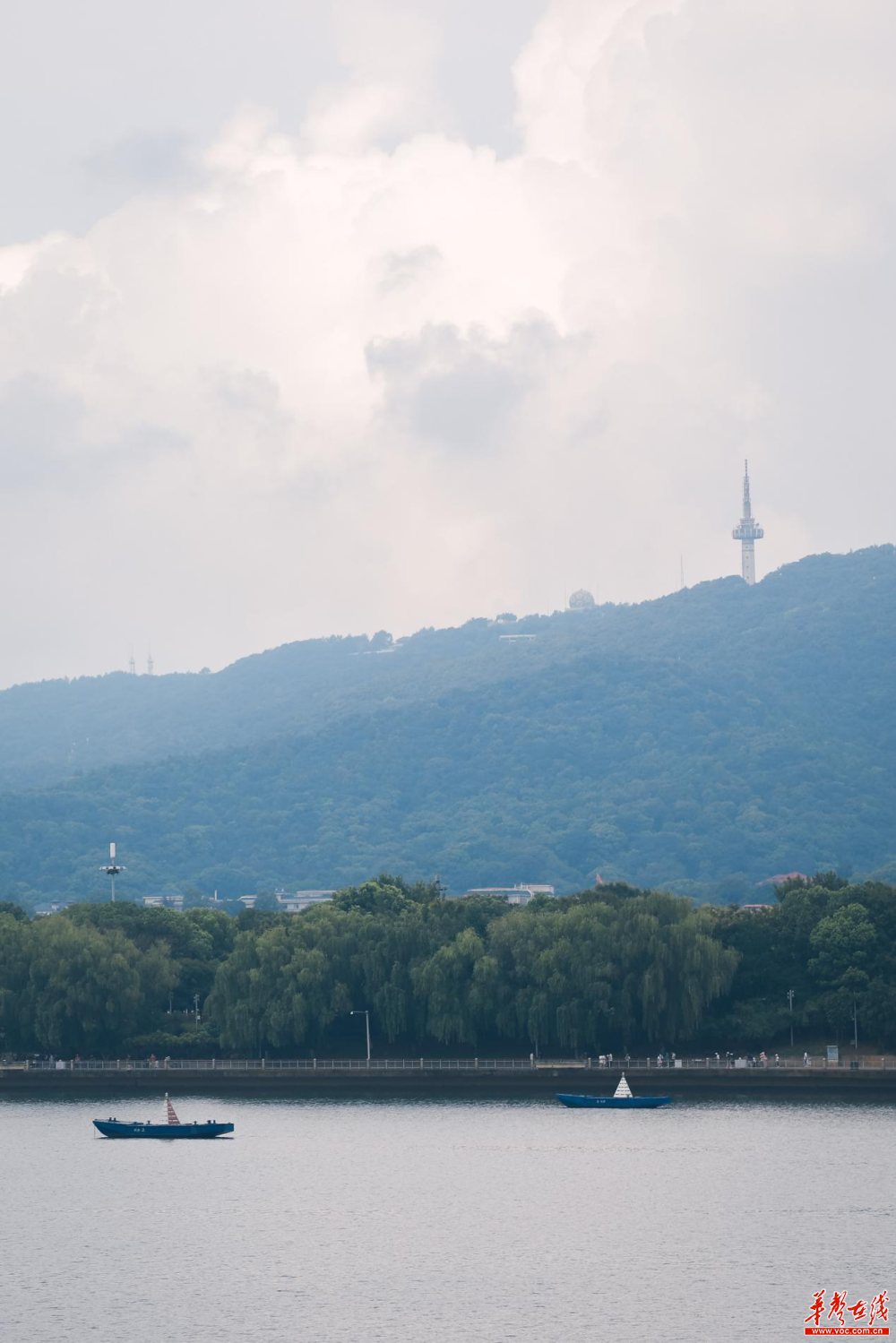 雨后美景图片