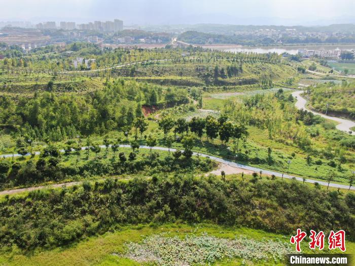 “江南戈壁”变绿色生态公园 瞰江西于都崩岗区的美丽“蝶变”