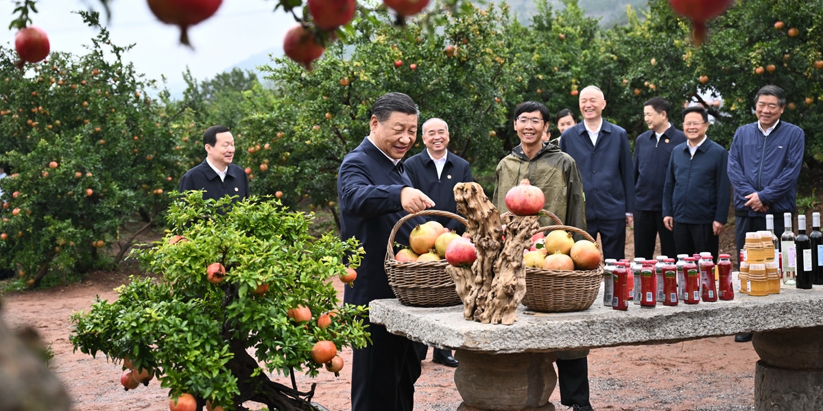 习近平在浙江考察 返京途中在山东枣庄考察