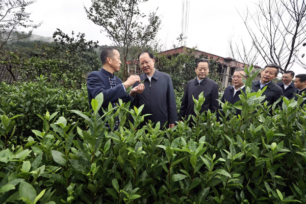 毛伟明：念好“山水经” 打好“文旅牌” 坚定不移走好生态优先绿色发展之路