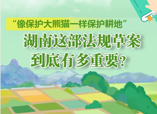 “像保护大熊猫一样保护耕地” 湖南这部法规草案到底有多重要？