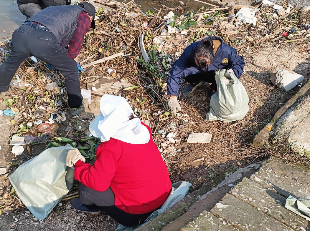 盖土网如何守护生态屏障