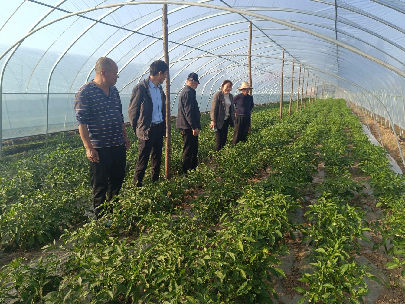 岳阳市华容县注滋口镇开展"脱贫攻坚十周年"政务公开主题月活动