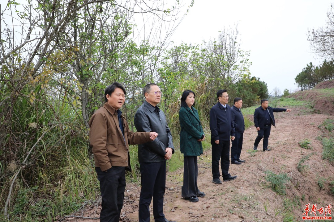 五矿二十三冶助力辰溪县打造乡村振兴示范点