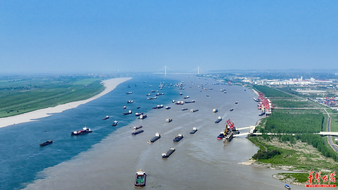 码头被湖南自贸区岳阳片区的制度创新赋能提速,腾起开放之翼,让城陵矶
