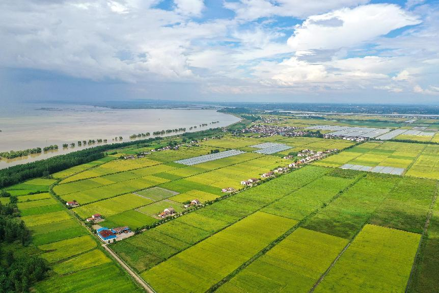 乡村光景日日新——屈原管理区营田镇"黑白灰"净化行动刷新乡村颜值