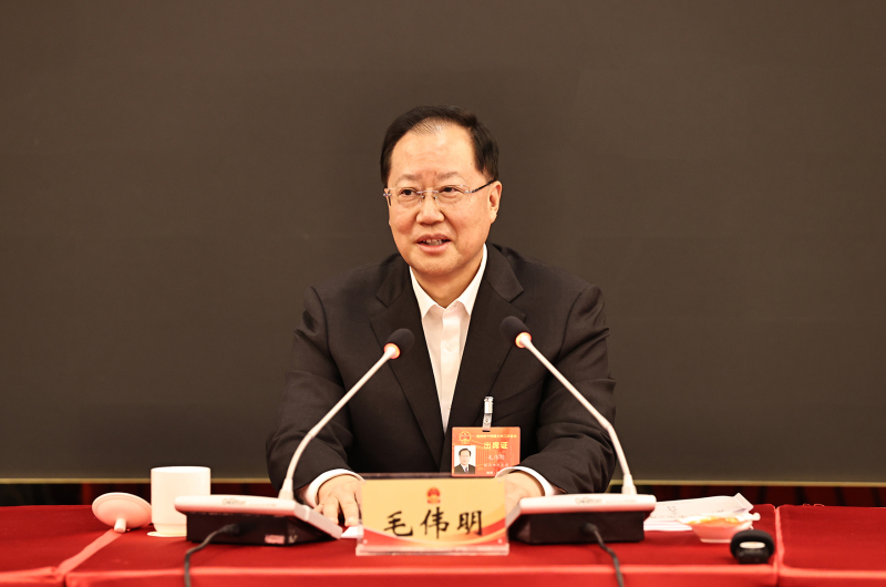 毛伟明参加株洲市代表团审议