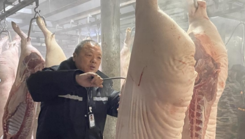 全力保障猪肉产品质量安全,开展屠宰检疫专项检查行动 - 乡村新貌 - 乡村振兴 - 华声在线