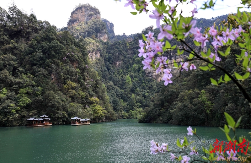 山花添春韵 乐游宝峰湖