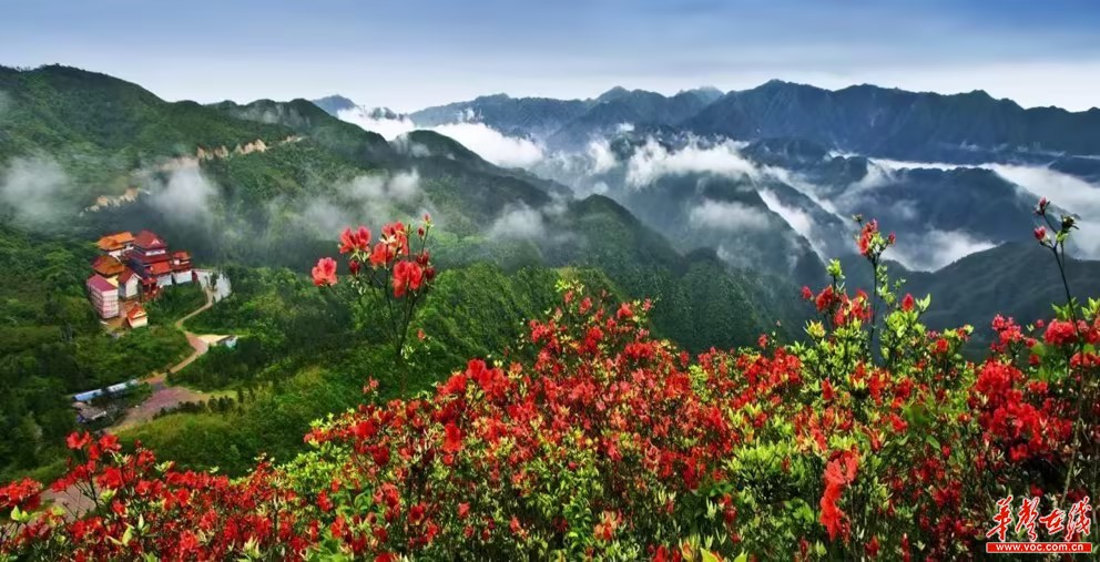 第十五届湖南·阳明山“和”文化旅游节将于4月23日启幕