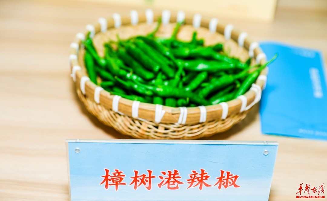 农业芯片硬核发力"亿元村" 樟树港辣椒"太空育种"科研成果发布