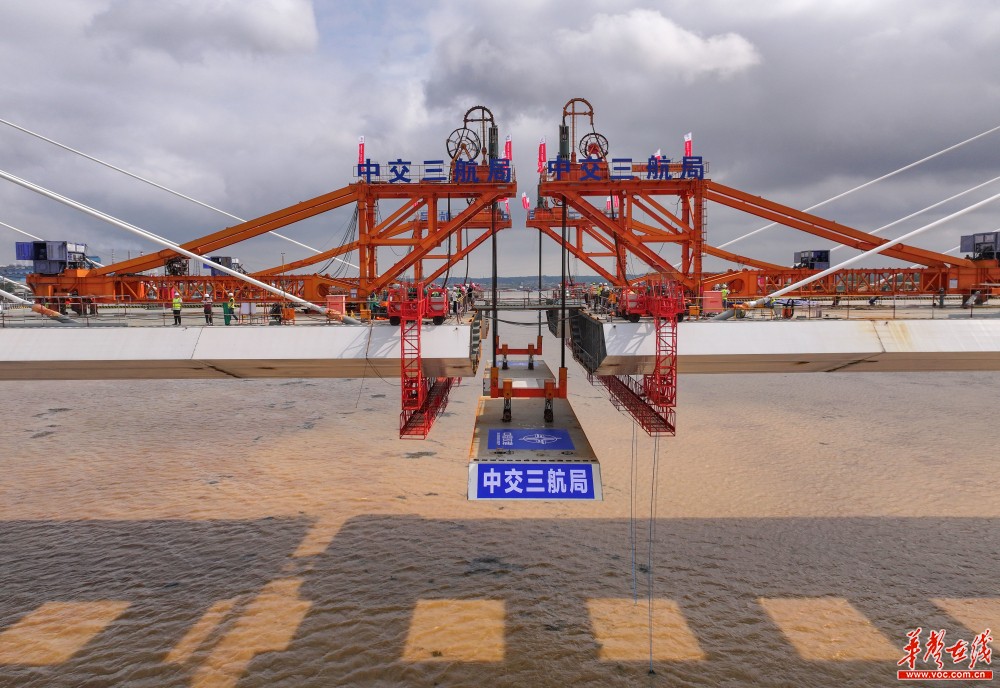 杨梅洲大桥合龙段吊装