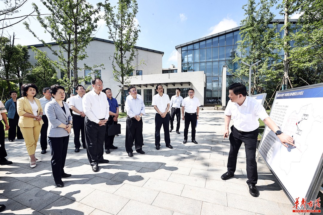 蒋卓庆毛伟明在长沙调研督导生态环境保护工作