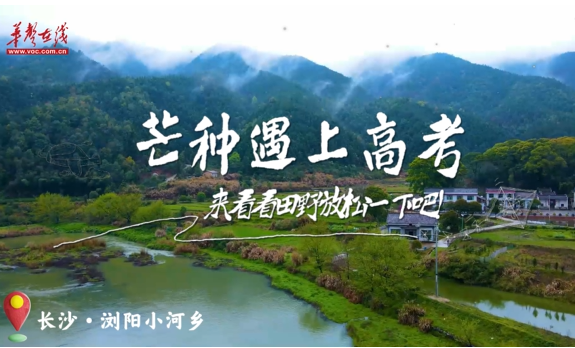 节气湖南|“芒”有所获 “种”有所得