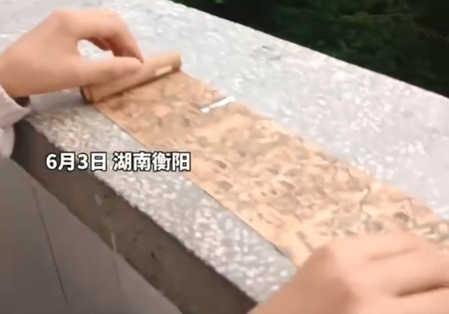 双语湖南|湖南一小学生手绘1.7米长画卷