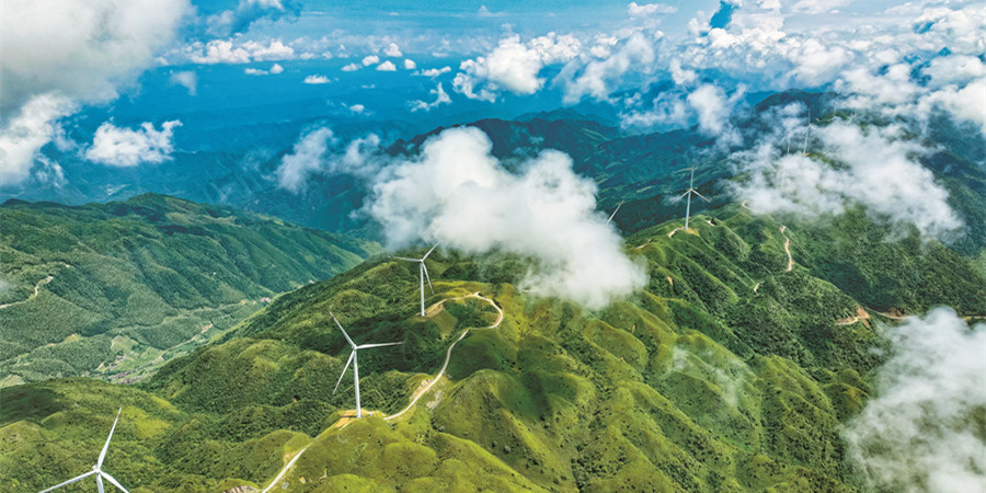 风电助力绿色经济