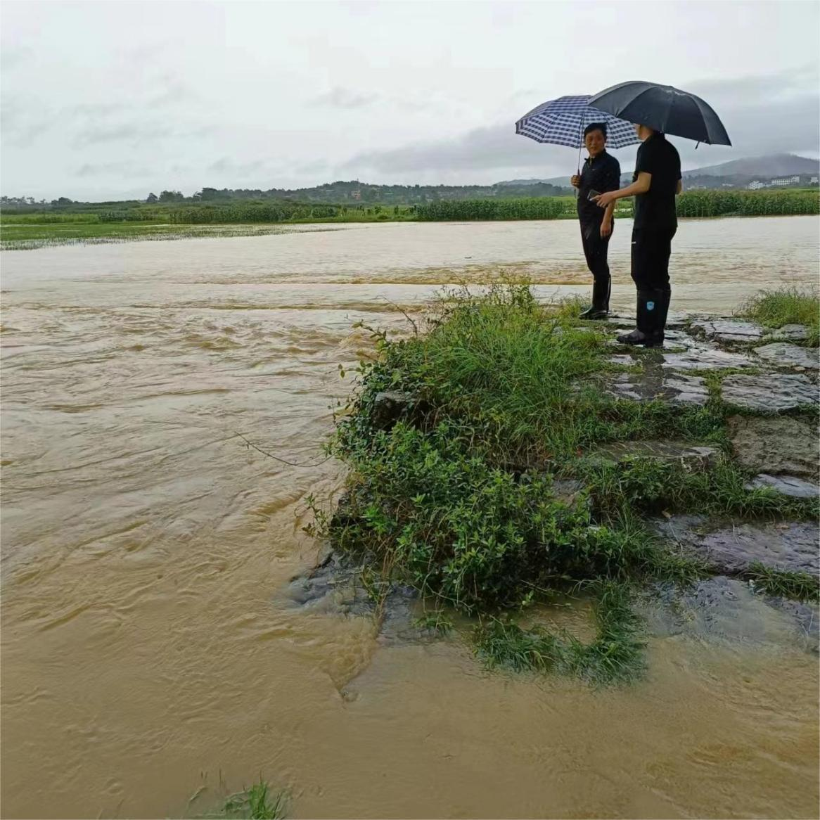 宜章黄沙镇:风雨无阻勇担当 筑牢防汛"安全堤"