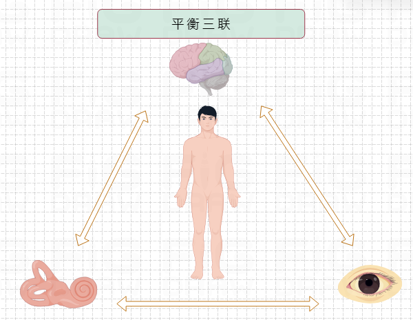 《黑神话：悟空》风靡全球，玩家却频遭“晕3D”困扰？医生教你如何避免“晕游戏”