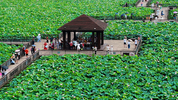 重点文旅项目观摩