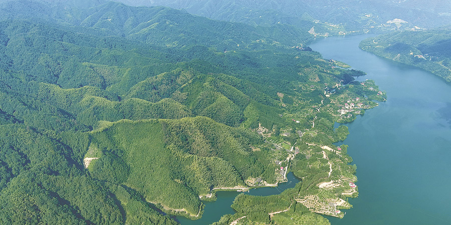 倚山临水果飘香