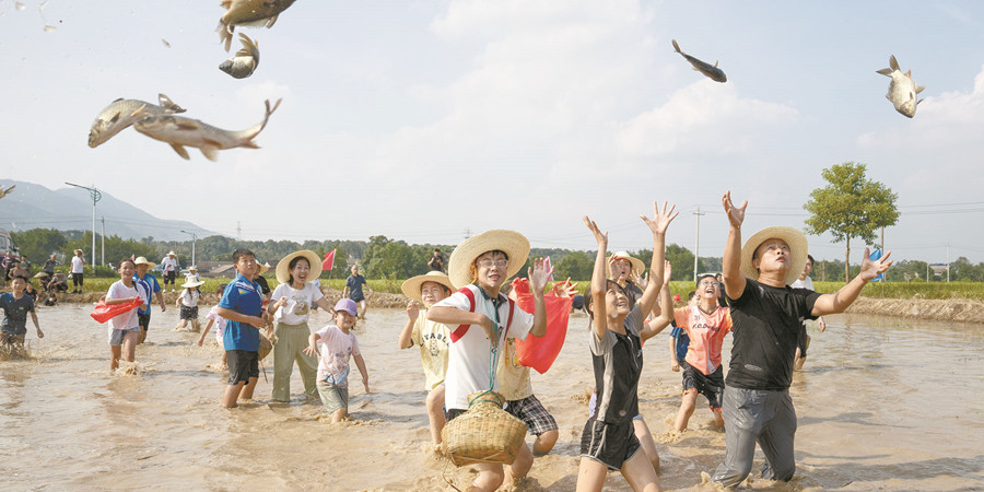 稻田摸魚(yú)比賽