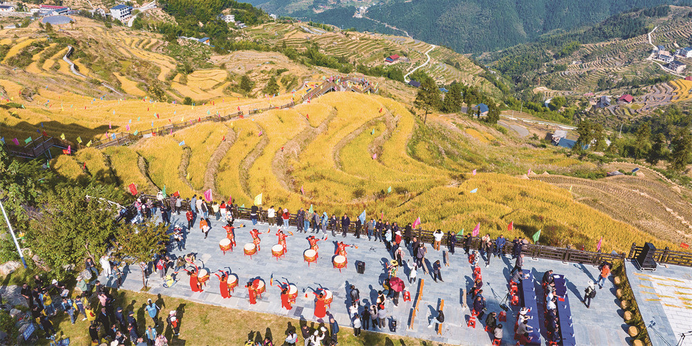 山背梯田庆丰收