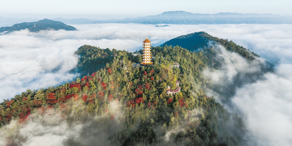 晨雾缭绕 秋意渐浓