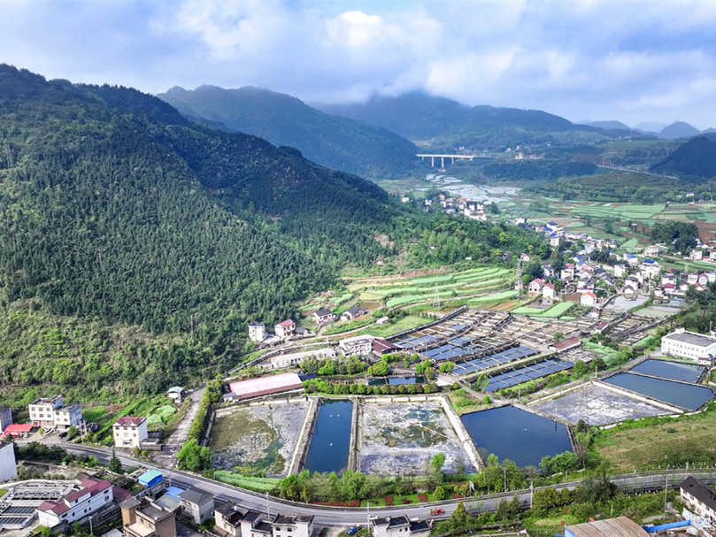 湘西大山产出“世界珍馐”鱼子酱