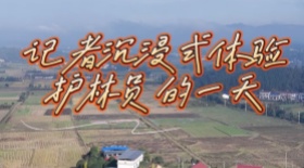 打卡護(hù)林員的一天 來看看護(hù)林員是怎樣保護(hù)我們美麗的大森林