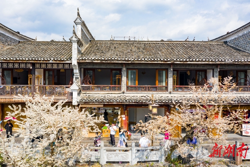 古城春韻引客來(lái)